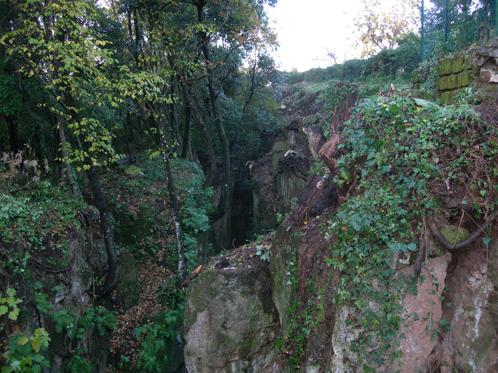 Vista del ciglio durante le prime operazioni di pulizia