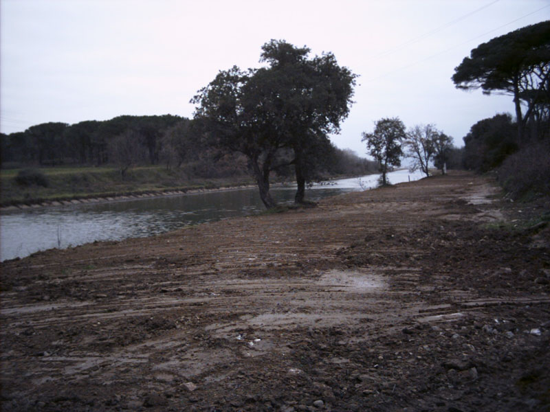 Realizzazione piste di accesso alle aree di cantiere