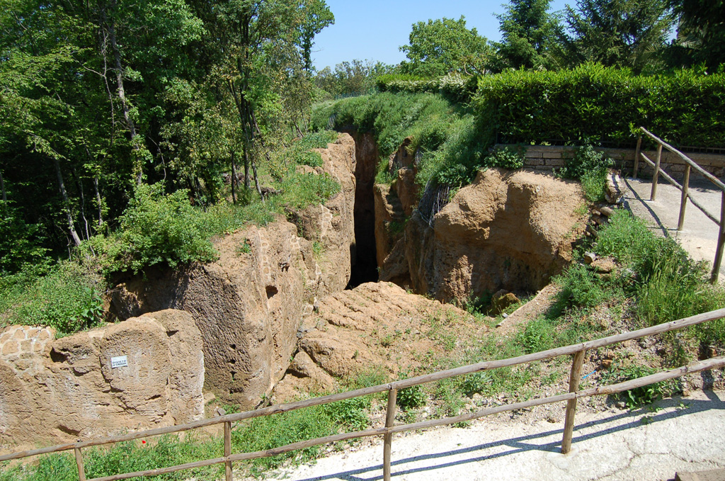 Vista della parte sommitale dopo la ricrescita della vegetazione