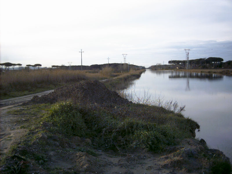 Vista del canale dei Navicelli