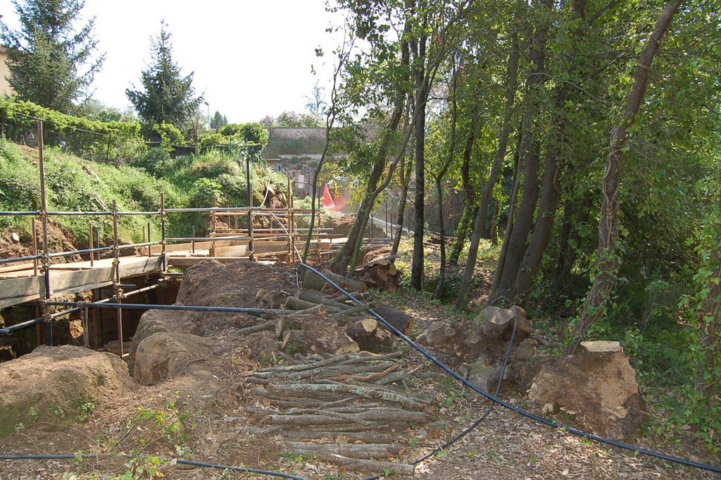 Abbattimento alberi sul ciglio e rimozione del terreno accumulatosi